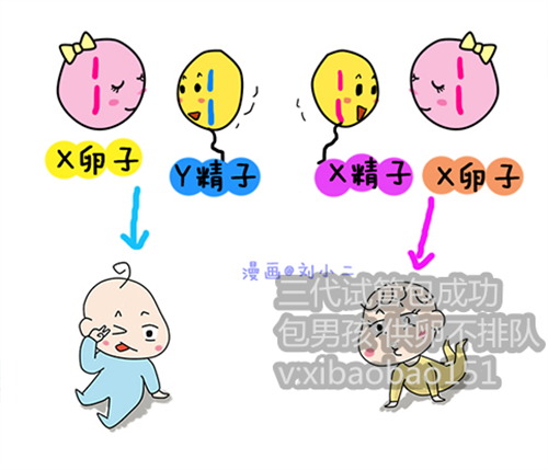 上海三代试管婴儿包生男_对于普通人来说，试管婴儿技术真的很陌生吗？